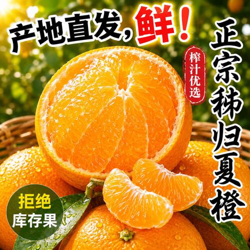 秭归夏橙现摘伦晚甜脐橙果冻橙大果孕妇水果当季整箱甜橙手剥橙