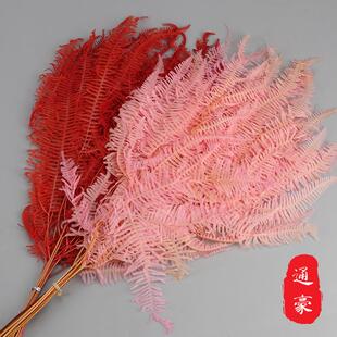 永生芒萁叶狼萁芒叶 彩色保鲜永生花花材 玻璃罩浮游瓶撅叶配材
