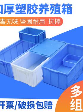 9WOR周转箱循环过滤鱼缸乌龟箱加厚长方形胶箱养殖箱灰色组合