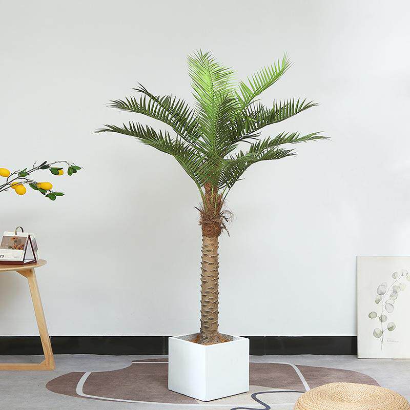 大仿真椰子树盆栽酒店室内外热带植物装饰园林绿植造景观假树摆件