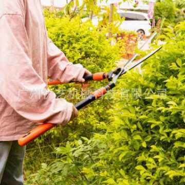 开拓者 KT2103老人头花木剪草修草坪绿篱剪园艺大剪刀园林修枝剪