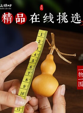 天然文玩小葫芦精品手把件带龙头小手捻绕指柔盘玩精挑胖墩葫芦