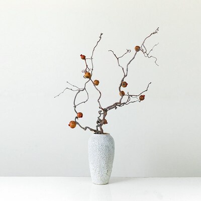 干支花装饰石榴干花花束居摆设真花树枝干枝插花客厅落地干花禅意