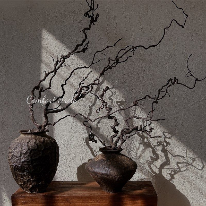 龙枣枝干树枝侘寂禅意中式插花装饰客厅家居酒店茶室摆设艺术枯枝,家居饰品,干花/花瓣/干花包/干树枝,淘宝优惠券,粉丝福利购,淘宝优惠卷