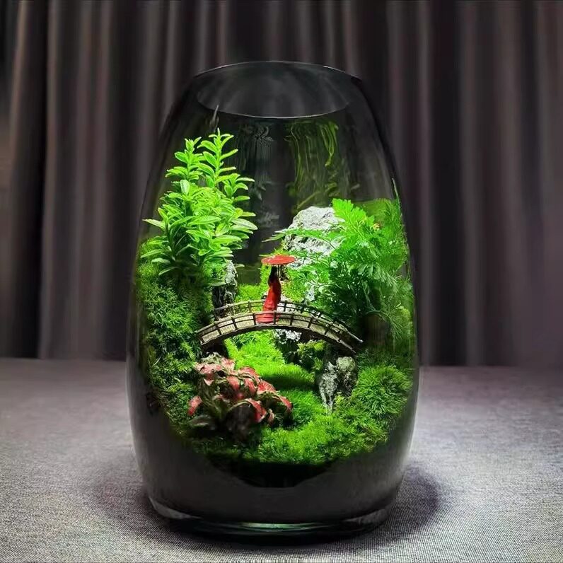 俏江南微景观苔藓创意假山造景植物家居室内客厅办公室桌面摆件