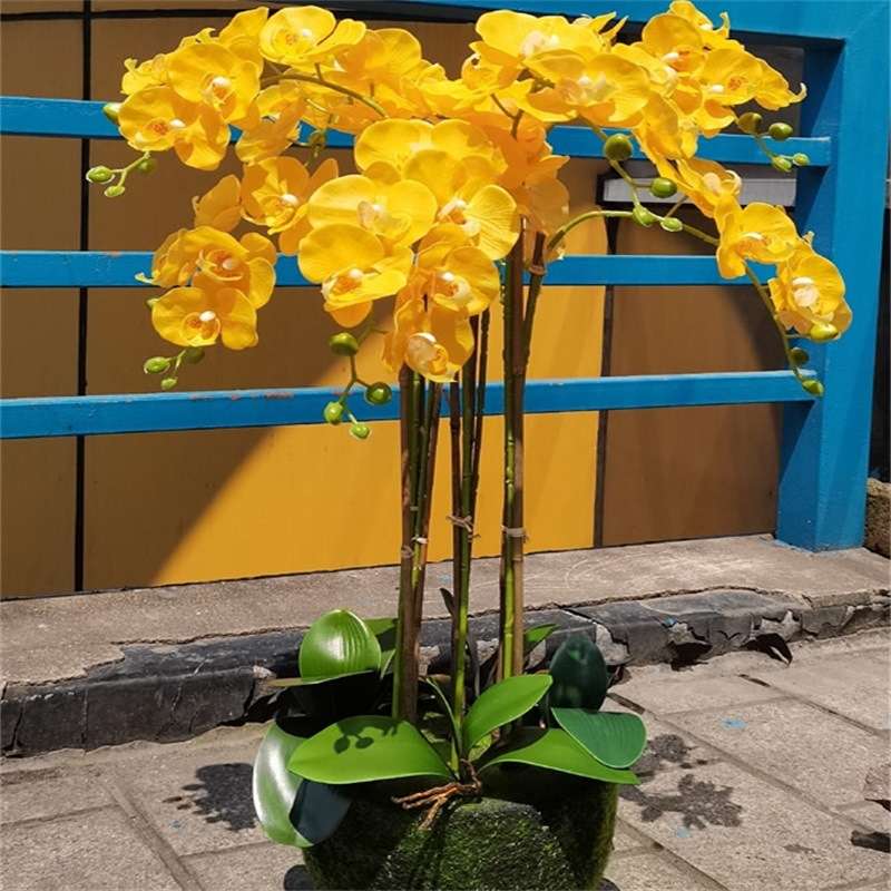 高端手感保湿仿真蝴蝶兰花艺假花卉盆栽塑料插花室内客厅装饰摆设