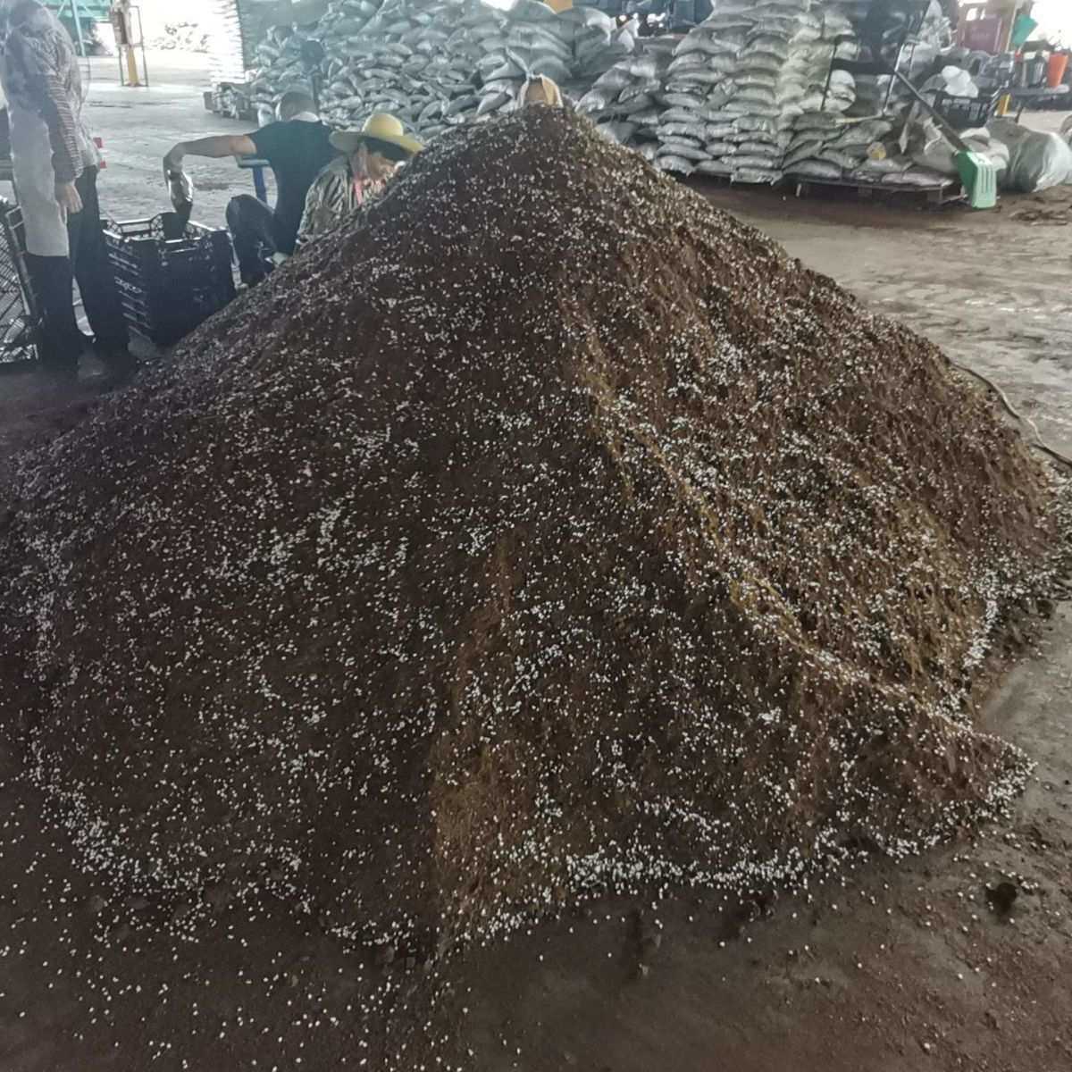 通用型有机花草苗木栽培蔬菜基质泥炭花土 营养土轻质泥炭土