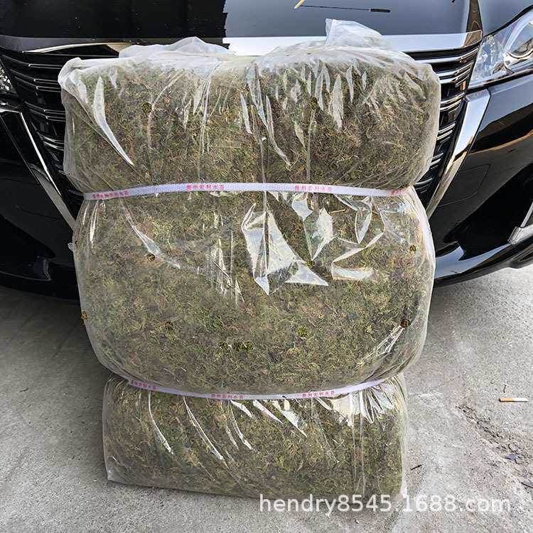 普通7公斤大包装干水草 苔藓水苔食虫植物微景观包扎运输生态瓶用