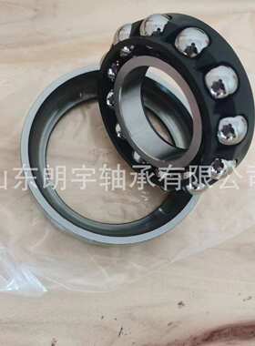 F-563575.07.SKL-C01-H92 汽车变速箱轴承汽车差速器轴承双排