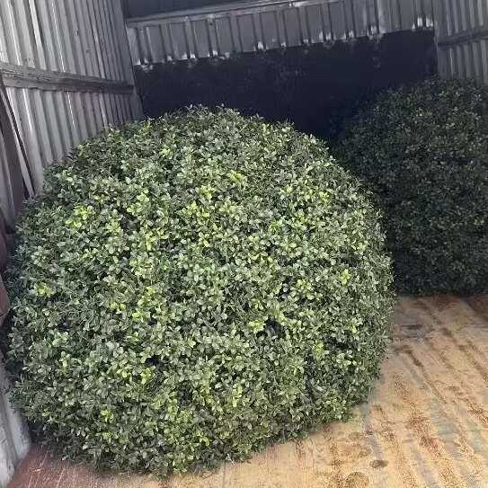 户外绿植井盖遮挡装饰品空心大草球仿真塑料草球米兰草球黄杨草球