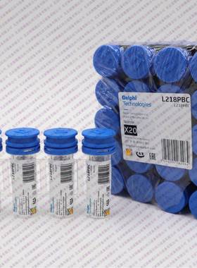 德尔福L218PBC L021PBC喷油嘴使用在BEBE4B17001 BEBE4B17101