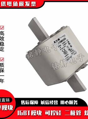 170M6268 170M6269 170M6270 170M6271熔断器170M系列型号齐全