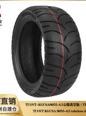 Dualtron Thunder KickScooter Ultra 滑板车11寸90/55-6.5真空胎