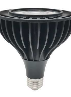 LED大功率PAR38射灯15W-40W压铸铝COB光源帕灯商业照明聚光灯品质