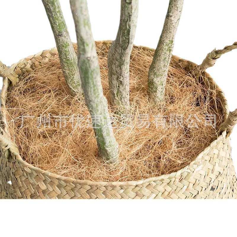 椰棕丝椰丝椰壳纤维盆栽铺面椰丝纤维麻棕丝花卉种植遮盖椰纤维丝