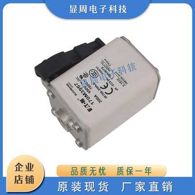 熔断器170M3957 3958 3959 3960 3961 3965 3966 3967 3968 3969