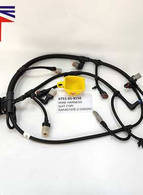 线束 6751-81-8150 适用于工程机械SAA4D107E-2 CM2250发动机配件