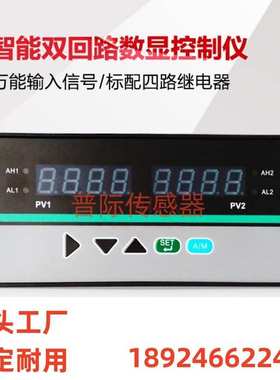 HD-S5300智能数显调节器 数字显示报警器