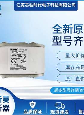 170M7078 170M7079 170M7080 巴斯曼BUSSMANN熔断器保险丝