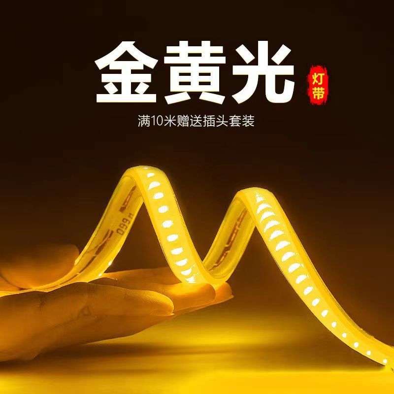 220v户外灯带led超亮防水客厅屋檐外墙专用灯条工程室外暖光暖色