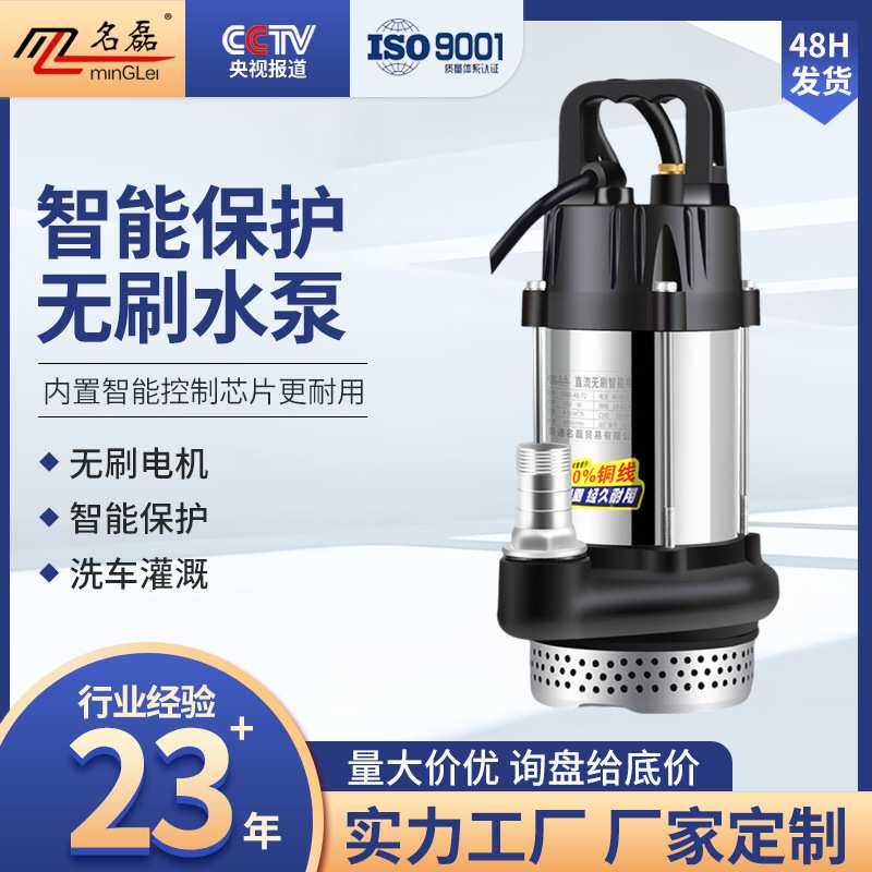 直流无刷潜水泵48V60V72V家用电瓶车抽水泵小型电动农用灌溉抽水