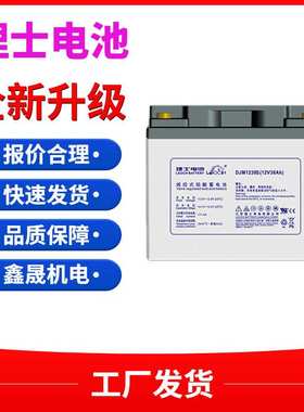理士蓄电池DJM1238直流屏柜系统12V38AH不间断UPS电源