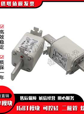 170M3808 170M3809 170M3810 170M3811 170M3812熔断器170M3813