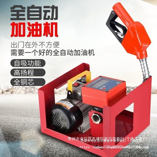 车载小型加油机12V24V220V大流量抽油泵柴油泵全自动电子计量铸铁