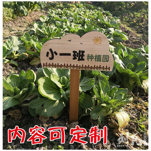 创意实木户外幼儿园班级小菜园牌学校种植园艺植物插地标签牌