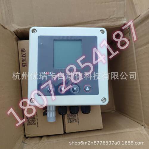 虹润NHR-WS12G0224D1G1A壁挂式温湿度变送器露点变送器一体式探头