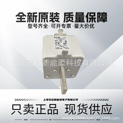 170M6081 170M6810D 170M6811D 170M8554D 170M8550 巴斯曼熔断器