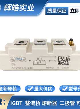 SKM100GAL123D SKM100GAR12E4 IGBT模块 电子元器件 辉皓实业
