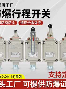 BZX51-5Z/L/N/T限位开关铸铝合金滚轮防爆开关DLXK5防爆行程开关