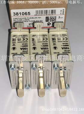 DF ELECTRIC 381030 熔断器 工作电流 25A、gG、NH000、500Vac