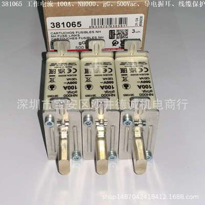 DF ELECTRIC 381030 熔断器 工作电流 25A、gG、NH000、500Vac