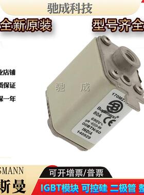 巴斯曼170M2764 170M2765 170M2766 低压保险丝诚信经营货源充足