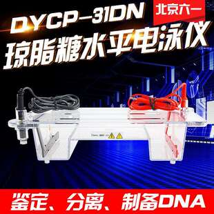 北京六一DYCP-31DN型琼脂糖水平电泳仪小号实验室核酸电泳槽