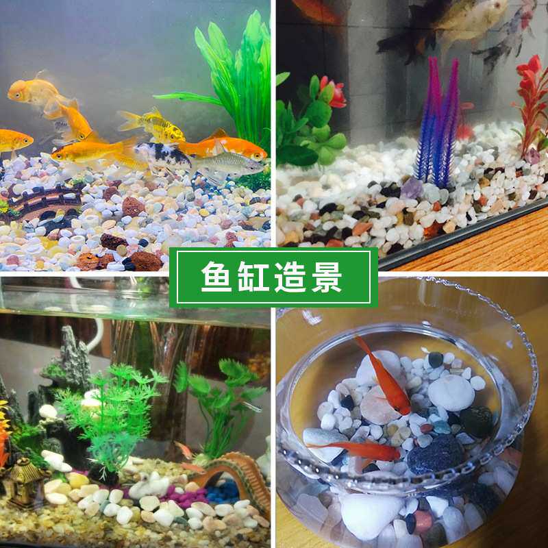 七彩石头彩色小石子多肉铺面石鱼缸造景植物园艺花盆栽装饰小石子