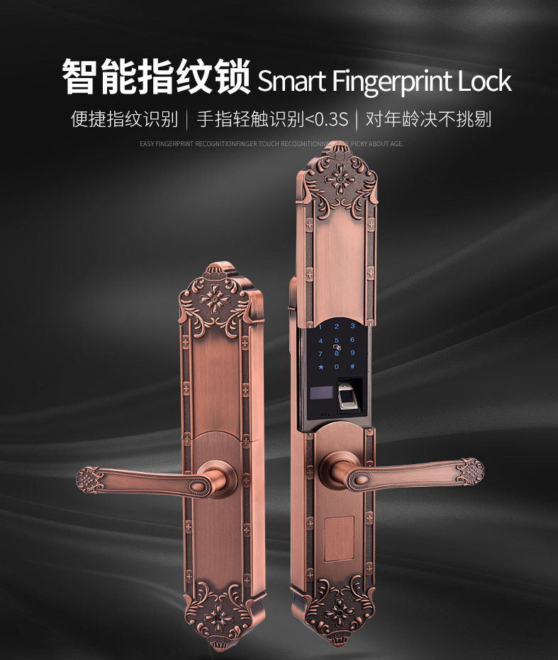 防水欧式别墅指纹锁双开门大门指纹锁豪华大拉手智能锁