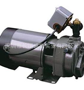 Flint Walling潜水井喷射泵离心泵增压泵污水泵和污水处理泵