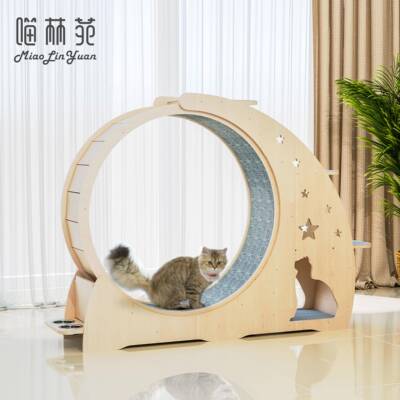 正品喵苑猫咪滚轮跑猫步机跑轮静音运动筒玩具实木猫爬林架滚猫窝