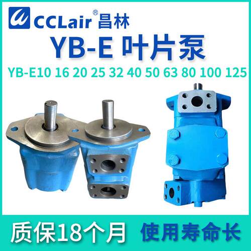 YB-E10液压6.3油泵12叶片泵16 20 YB-E25 32 YBE40 50 63 80 100