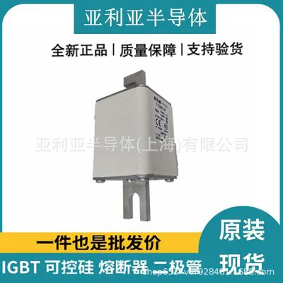 交流陶瓷熔断器 断路器 170M5147 170M5148 170M5196 原厂现货