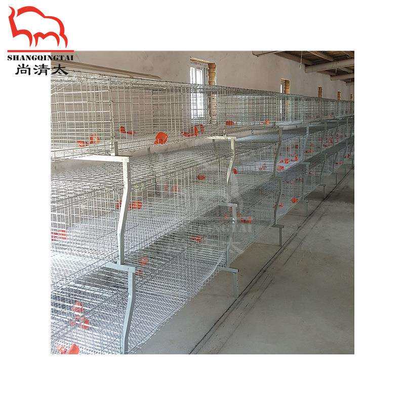 元宝肉鸡笼 肉鸡饲喂笼具 养鸡笼子 鸡用成长笼 畜牧养殖设备