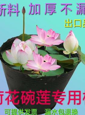 无孔营养钵加厚不漏水睡莲荷花莲花盆碗莲育苗盆水生植物水盆水盒