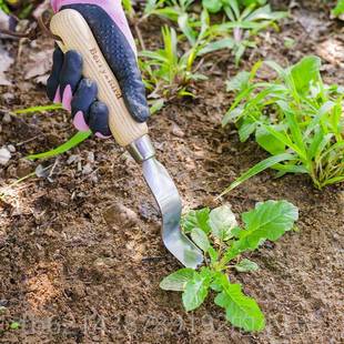 高档Berry&Bird小园艺森林家用起园工具草器除草移苗艺户外挖野菜