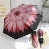 高档双人大全自晴雨伞两用动彩胶防晒防紫外线太阳伞男生女加学遮