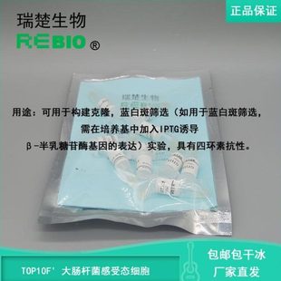包邮包干冰含票 TOP10F' 大肠杆菌感受态细胞