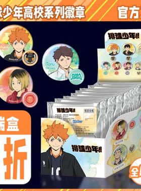 NULLSET正版动漫周边排球少年高校系列徽章吧唧日向飞雄月岛萤