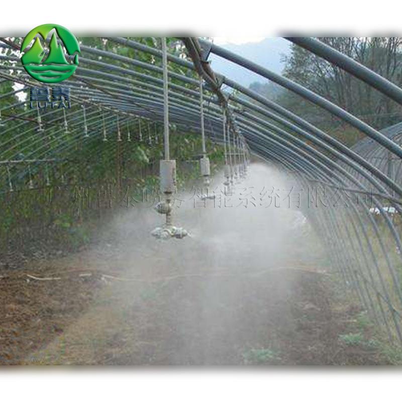 花卉苗木蔬菜大棚生态园喷淋灌溉系统 兰花特种栽培喷雾保湿设备
